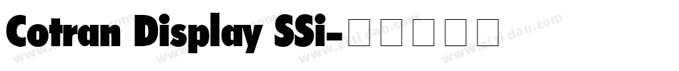 Cotran Display SSi字体转换